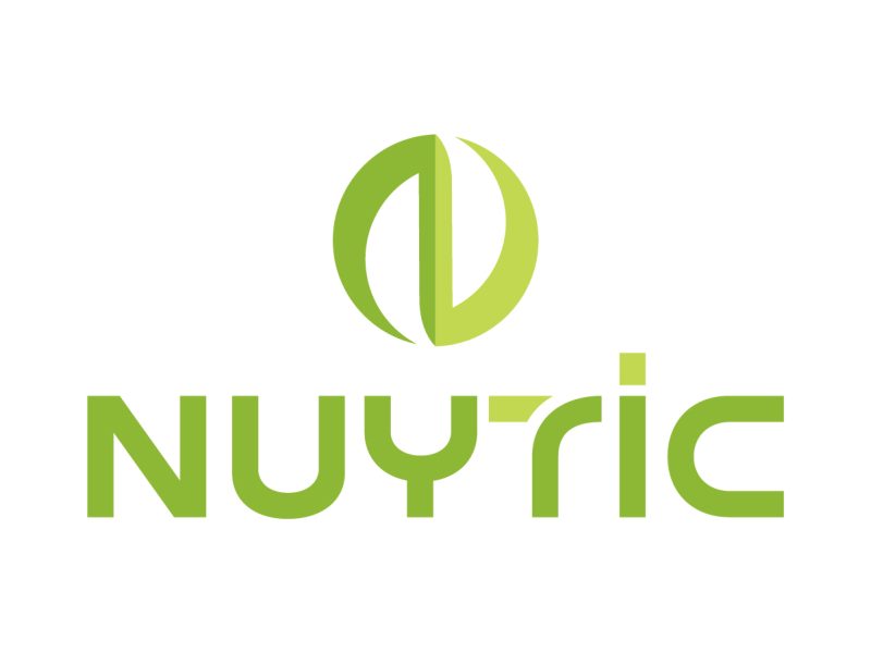 modern corporate logo design for Nuyric brand
